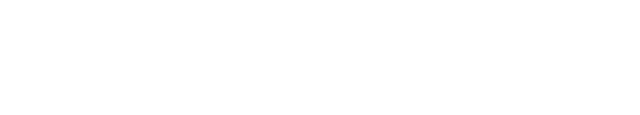 Why Us Consulting